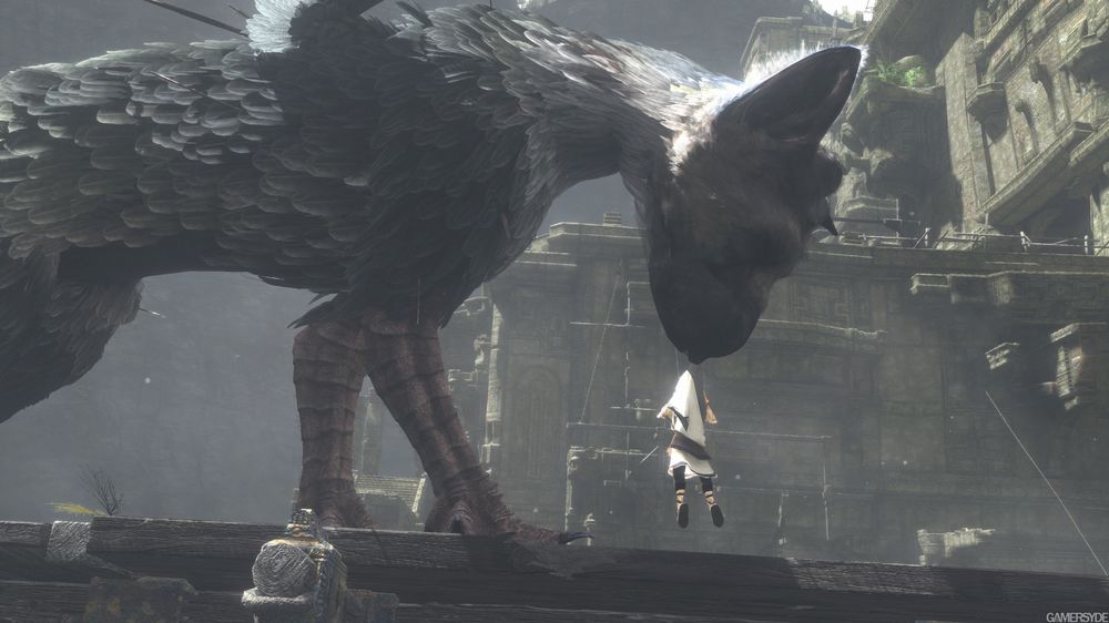 The Last Guardian 3.jpg The Last Guardian 3.jpg